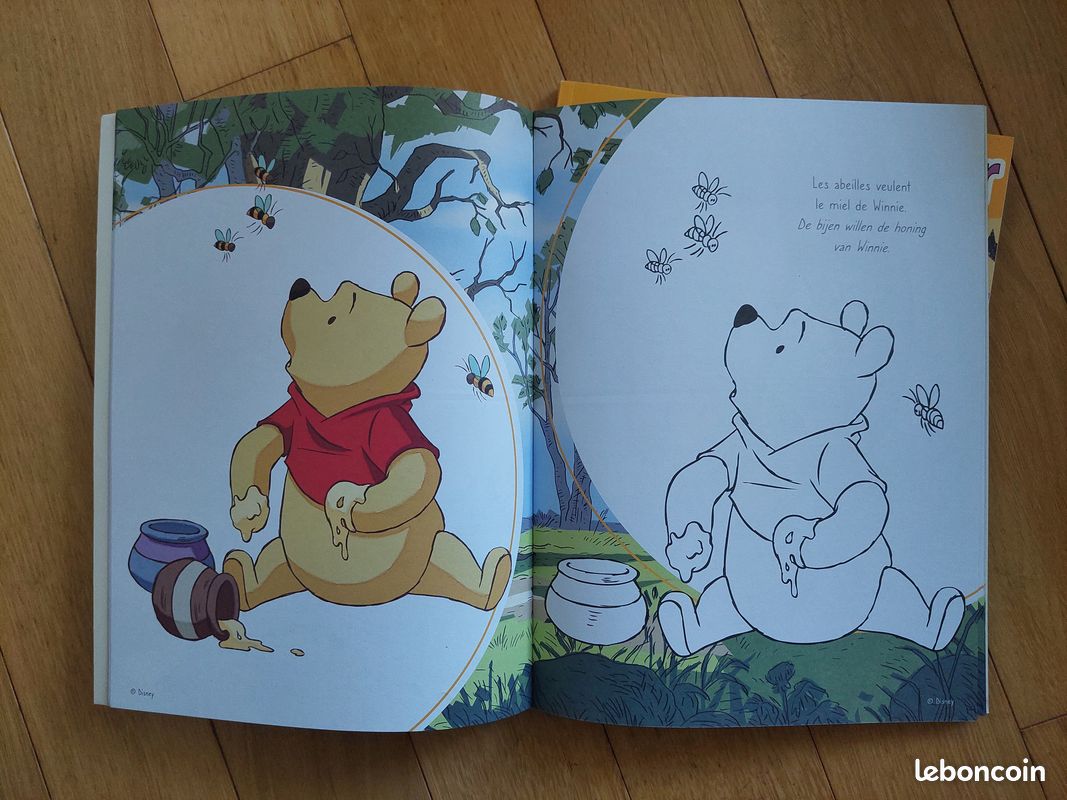 Lot de 2 coloriages Disney (Action) (image 9)