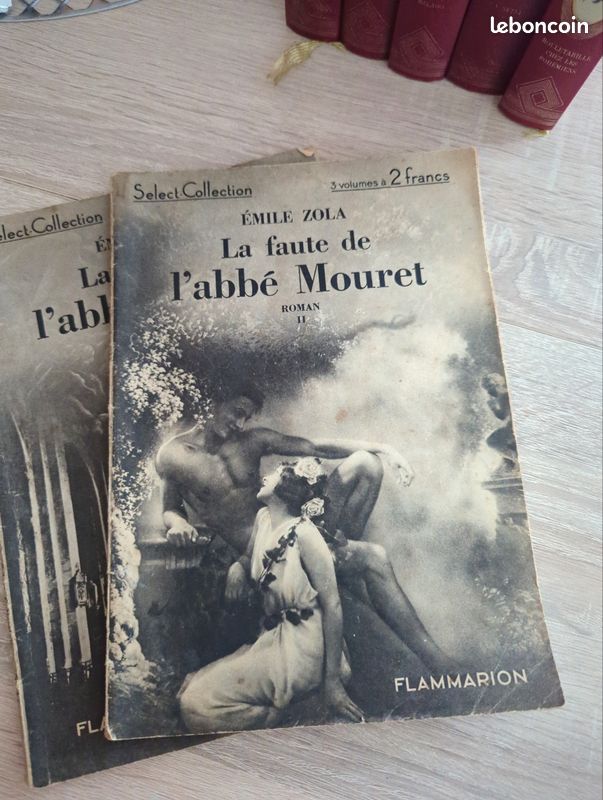 La faute de l'abbé Mouret (image 2)