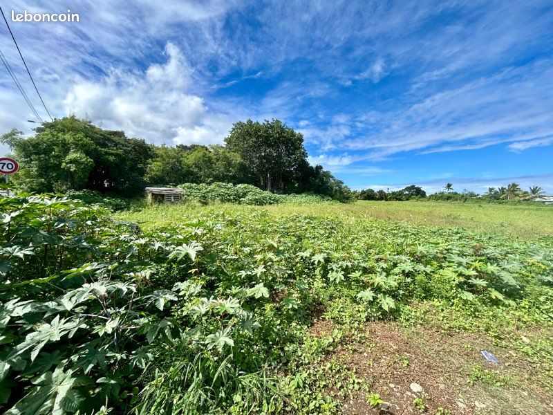 Terrain constructible 400m2 · à Saint-Louis · 150 000 €