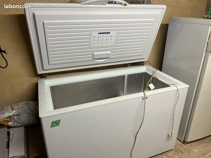 Coffres Congélateurs Liebherr – 363L Et 461L, Blanc, Classe A+++, Occasion