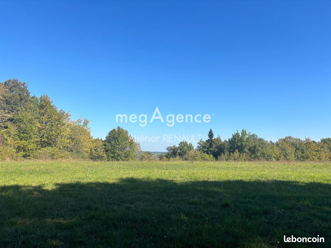 Terrain 24541 m² SAINT-LEON-SUR-VEZERE (image 4)