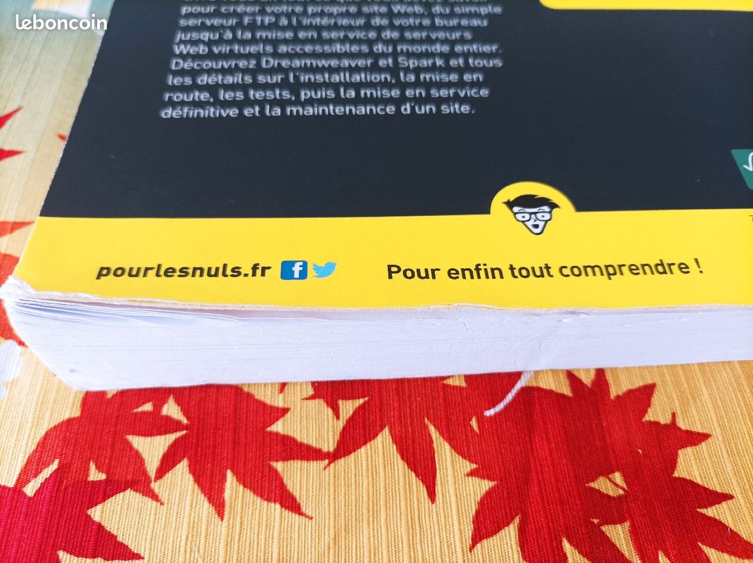 Créer un site web pour les nuls (image 4)