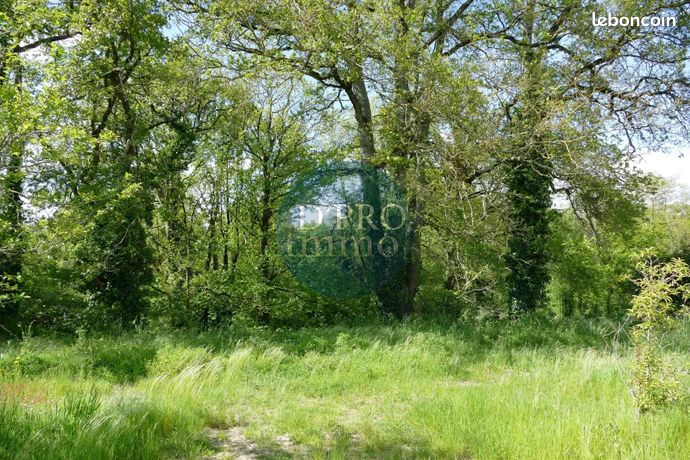 Terrain 1115 m² Aigrefeuille-sur-Maine