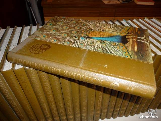 Collection Royaume des animaux (image 2)