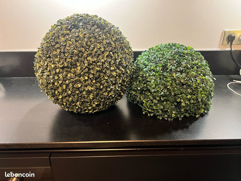 Boules de buis (image 1)