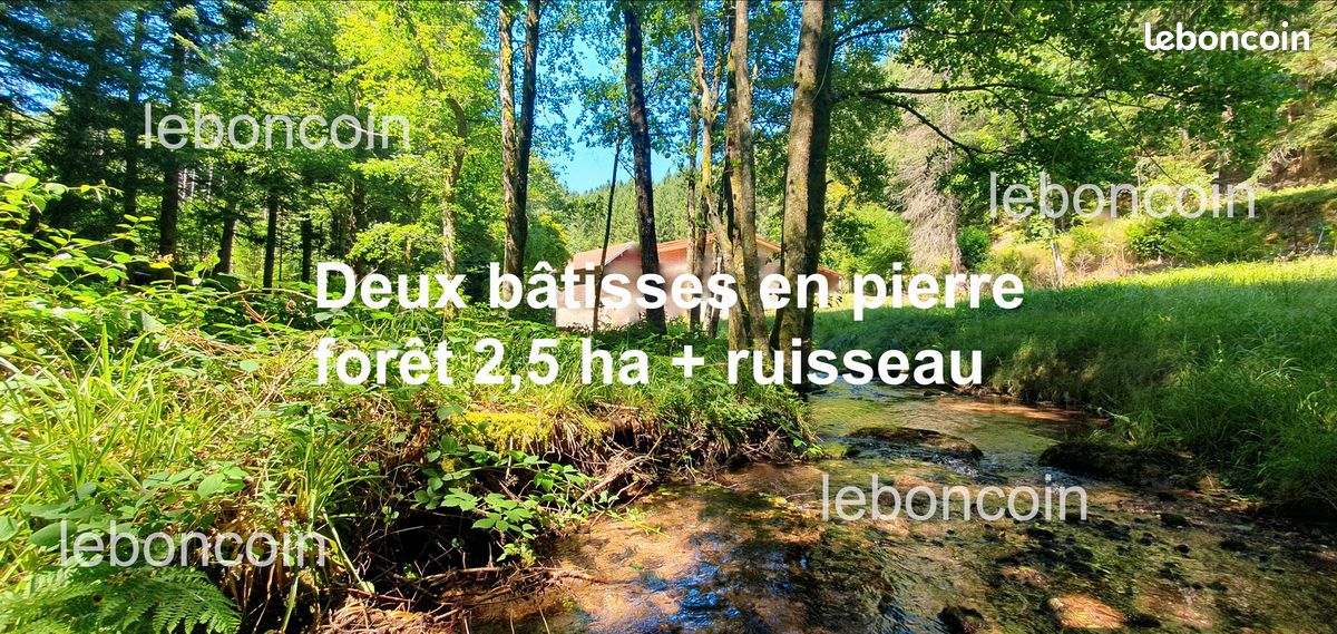 Maison 6 pièces 117 m² · à Raon-sur-Plaine · 117 m² · 275 000 €