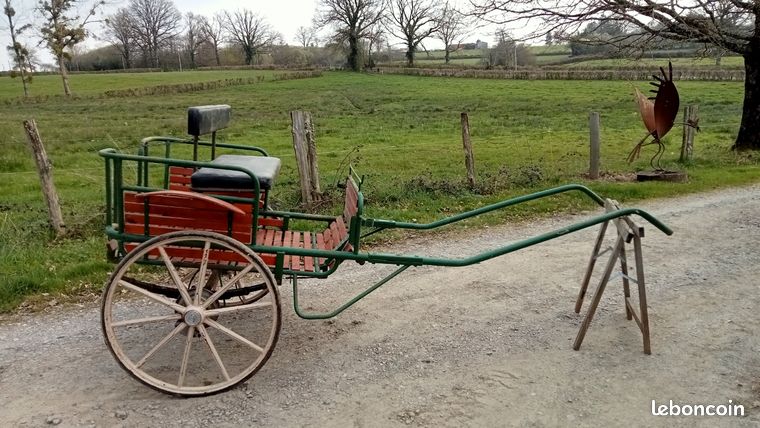 Chevaux Attelage à vendre Bretagne | France