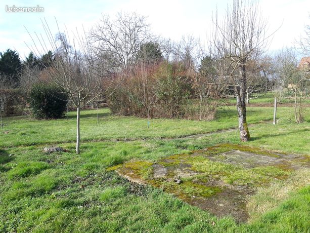 Terrain constructible