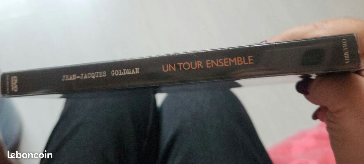 Dernier concert de jean-Jacques Goldman en 2002 (image 2)