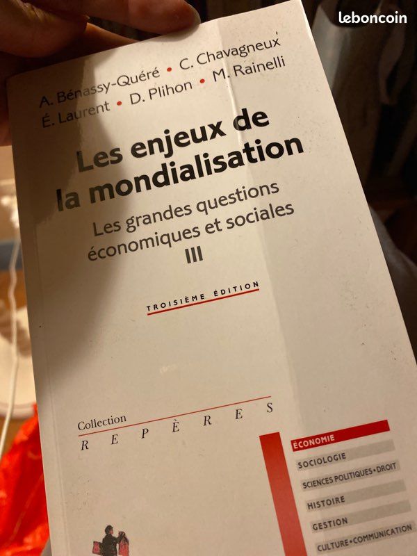 Les enjeux de la Mondialisation (image 2)