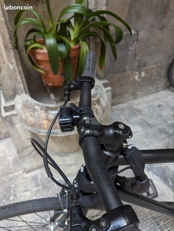 Vélo électrique élégant et léger (image 4)