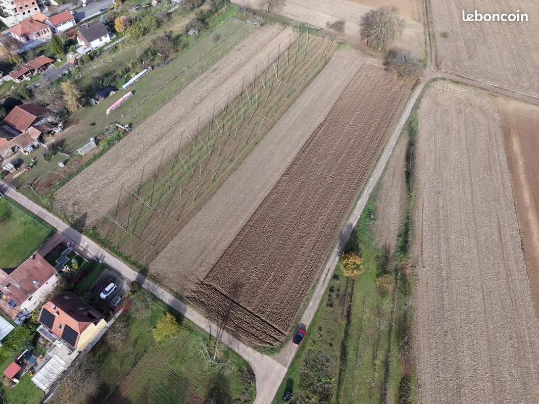 Terrain 1667 m² · à Eckwersheim · 1 667 m² · 149 000 €