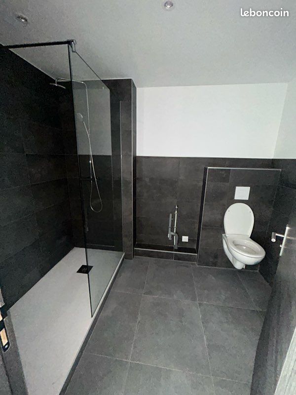 Appartement a louer annemasse - 1 pièce(s) - 48 m2 - Surfyn