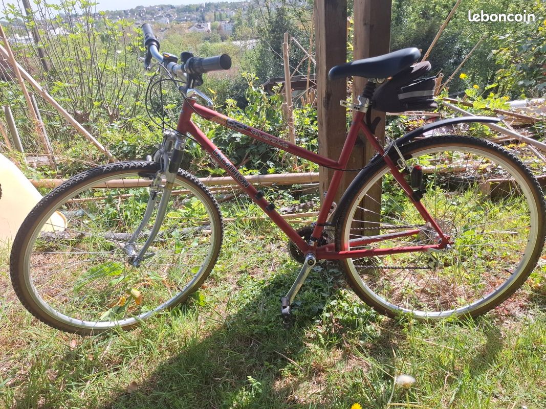 Decathlon Riverside 600 (image 1)