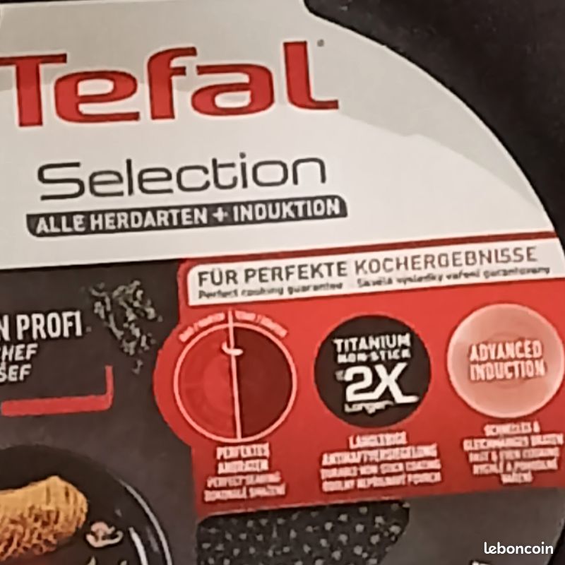 Poêle Tefal sélection (tout feux+induction) (image 1)