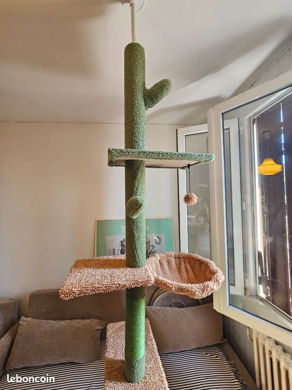 Arbre à chat (image 1)
