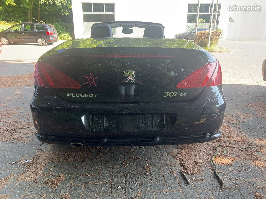 Peugeot 307 2.0 (image 2)