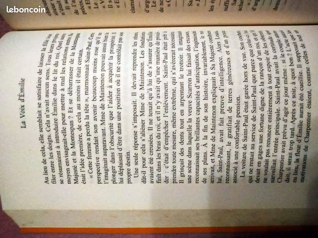 La voix d'Émilie (image 3)