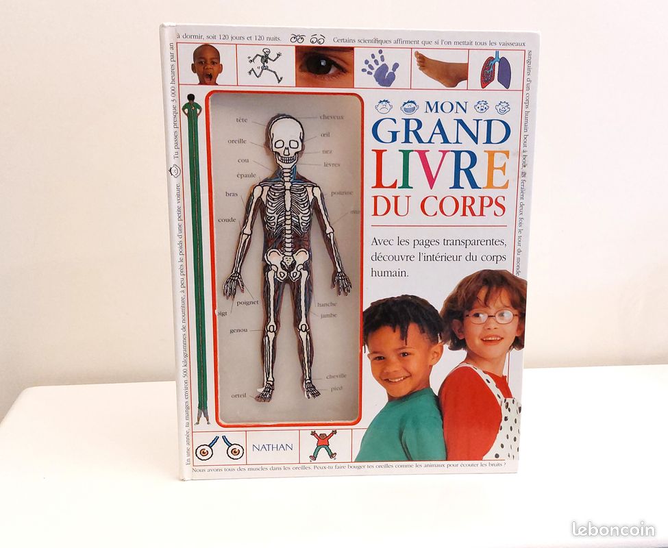 Mon grand livre du corps (image 4)