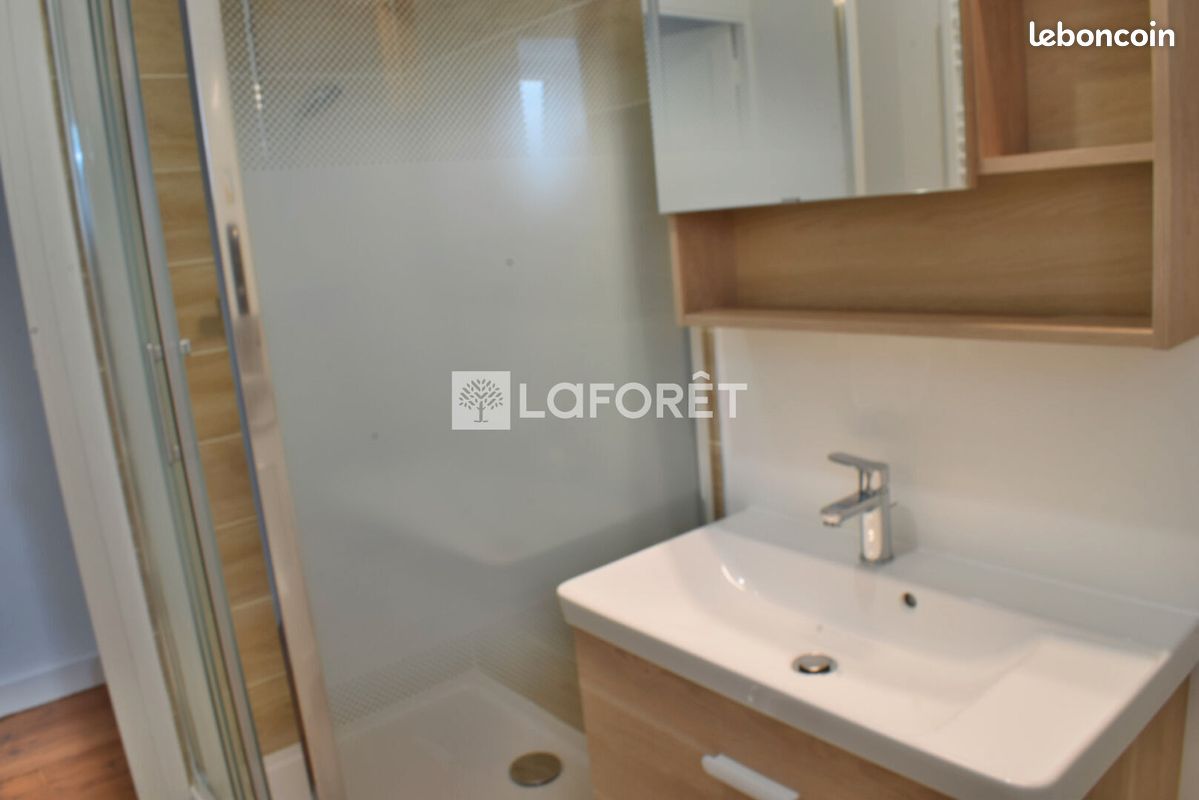 Appartement 2 pièces 54 m² - Brive-la-Gaillarde 19100 (image principale 3)