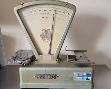 Balance Testut début xx siècle