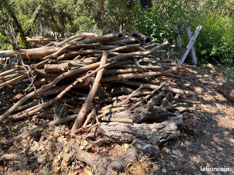 Bois de chauffage en partie débité (image 2)