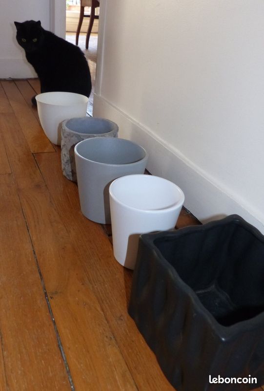 Lot de cache pot en ceramique (image 9)