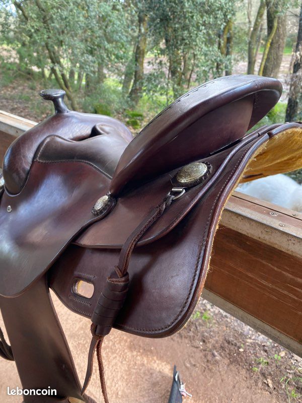Ailes De Selle Western Ridex – Cuir Lisse Marron – Paires Neuves