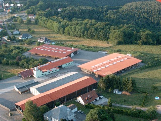 Local commercial 1 pièce 3740 m² · à Lemberg · 3 740 m² · 1 500 €/mois