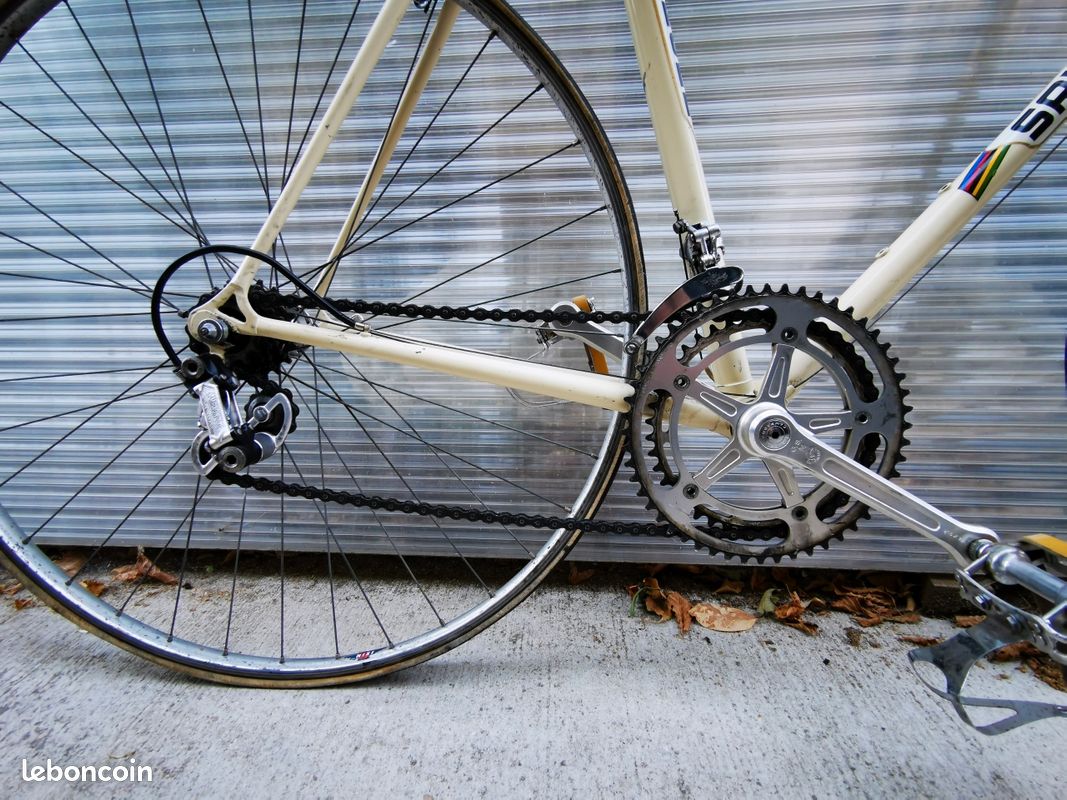 🕊️ Rare Vélo de course Saronni Campagnolo 🕊️ (image 2)