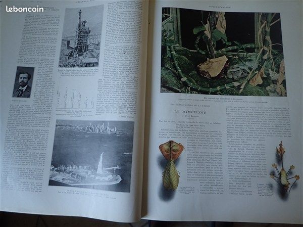 Illustration 1936 4887 espagne bruxelles rexiste mimetisme louis napoleon syrie haute djezireh statue de la liberte delphes suzanne bianchetti folies bergeres josephine baker la jungle merveilleuse (image 5)