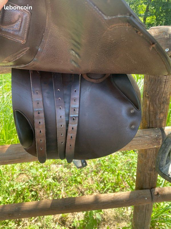 Selle childeric (image 5)