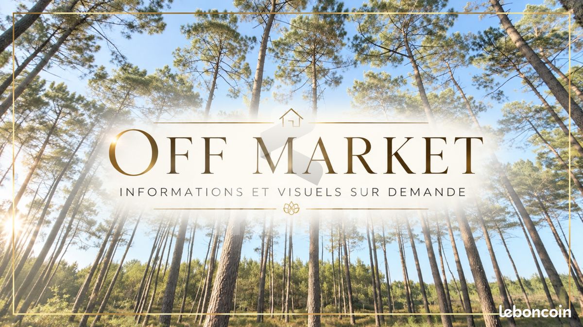 Maison 5 pièces 170 m² · à Salles · 170 m² · 895 000 €