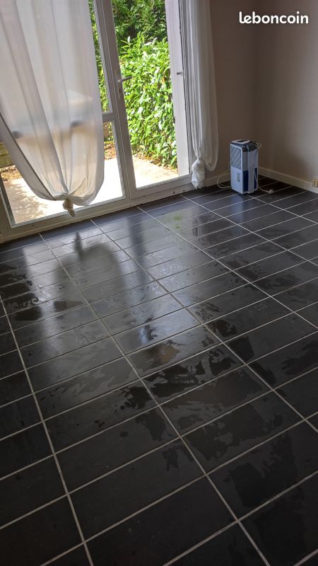 Appartement 1 pièce 25 m² · à Dijon · 25 m² · 460 €