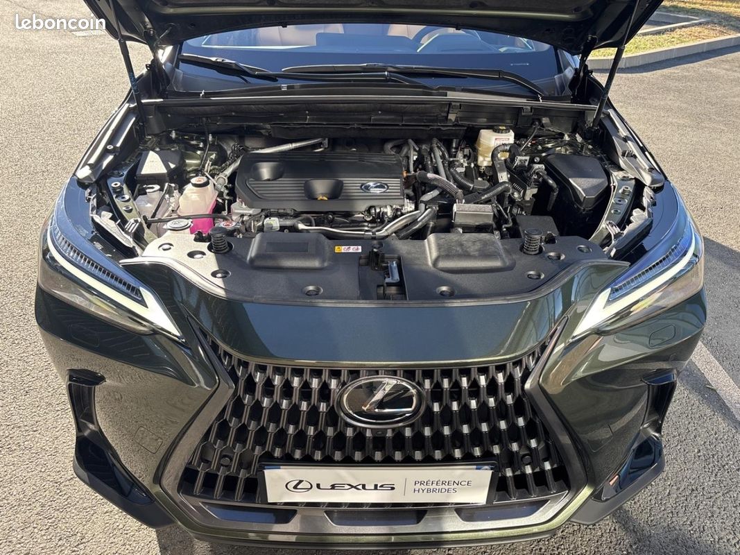 Lexus NX 350h Luxe 2WD PACK DESIGN MY25 (image 19)