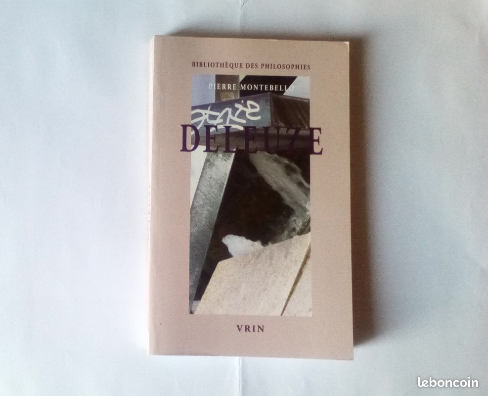 Deleuze la passion de la pensée ( P.Montebello) (image 3)