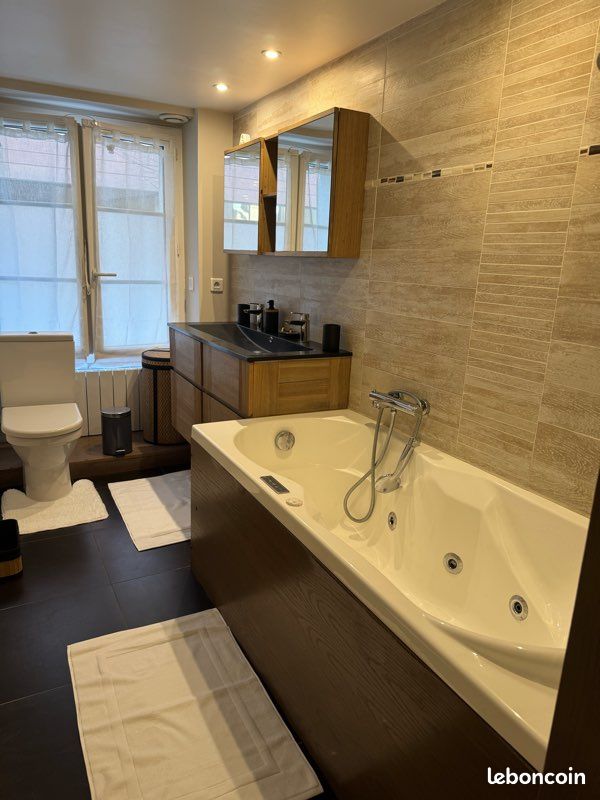 Appartement cœur triangle d’or (image 10)