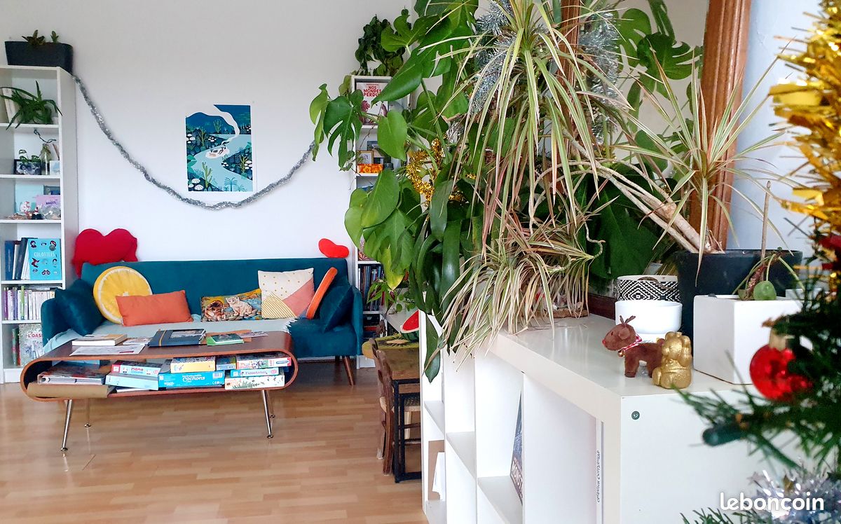 Location appartement 72m2 meublé- juillet août (image 4)