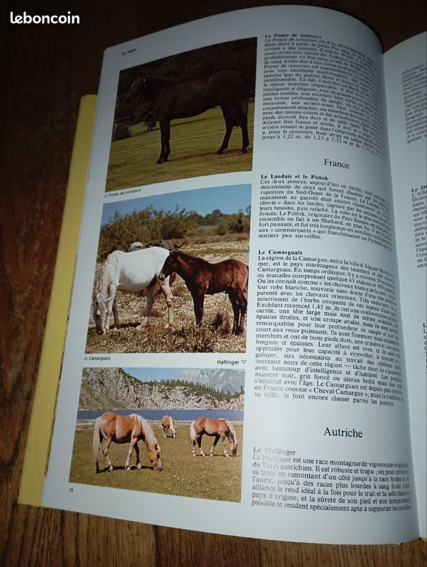 Livre encyclopédie du cheval neuf (image 3)