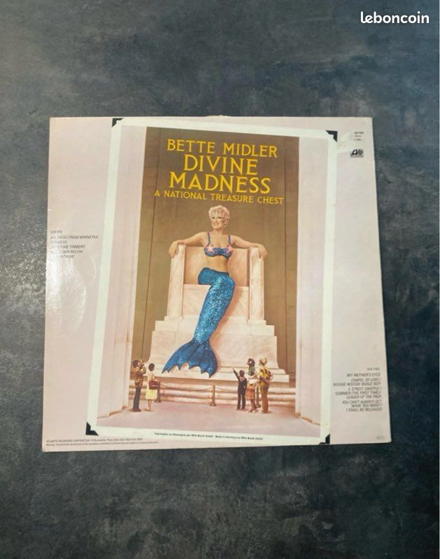 Disque vinyle (image 2)
