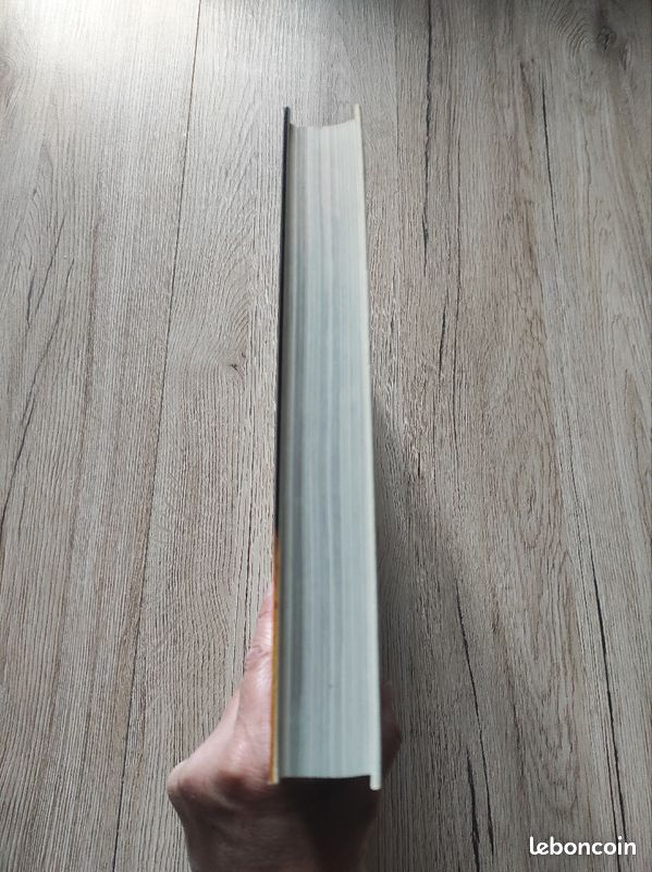 Livre Ramsès le Grand Grand Palais 1976 (image 7)