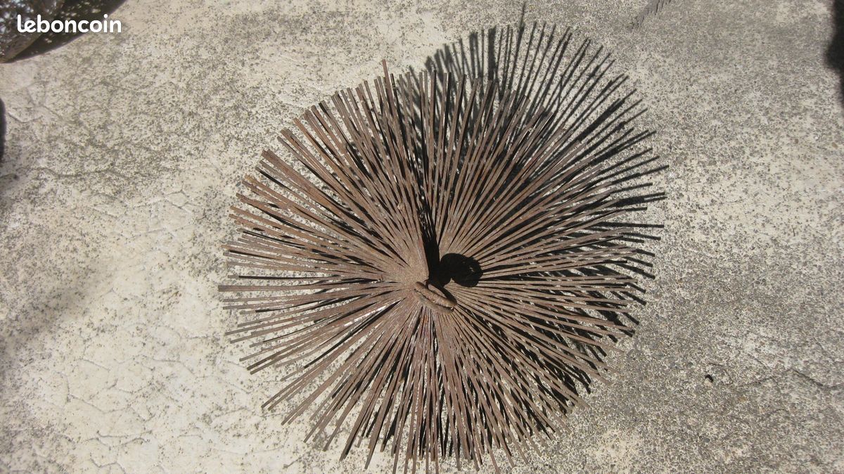 Hérissons de ramonage (image 3)