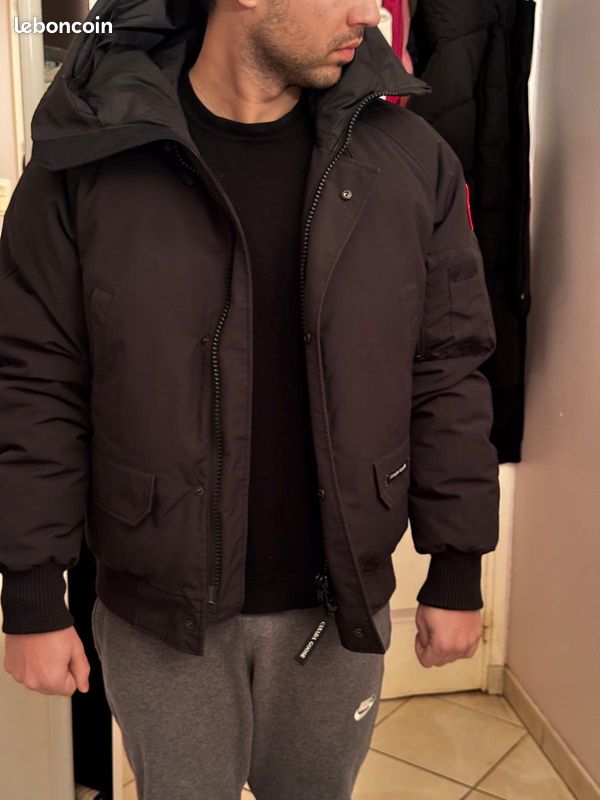 Canada goose (image 4)