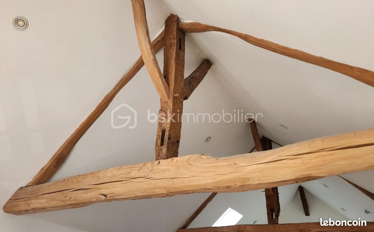 Maison 12 pièces 450 m² (image 12)