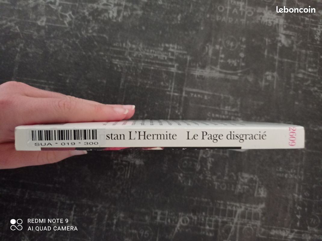 Le page disgracié (image 3)