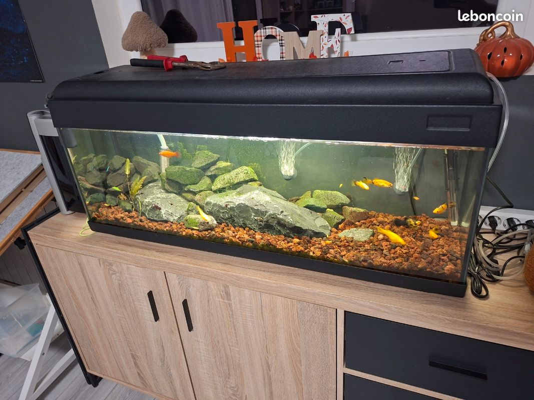 Aquarium complet 100l (image 2)