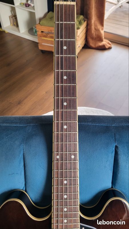 Epiphone es 335 jim james (image 3)