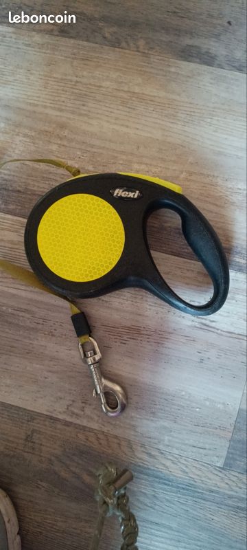 Laisse pour chien (image 1)