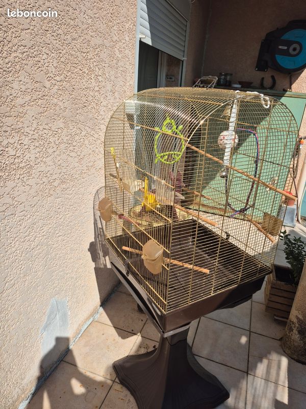 Cage à oiseau (image 2)