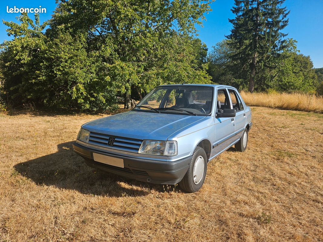 309 GL Profil 1990 héritée d'une 1ière main 36701 kms (image 1)